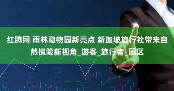 红腾网 雨林动物园新亮点 新加坡旅行社带来自然探险新视角_游客_旅行者_园区